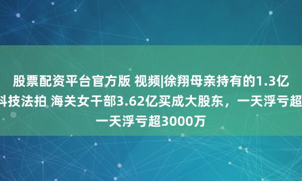 股票配资平台官方版 视频|徐翔母亲持有的1.3亿股大恒科技法拍 海关女干部3.62亿买成大股东，一天浮亏超3000万